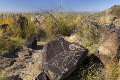 Picture of NEW MEXICO, THREE RIVERS, PETROGLYPH ON ROCK