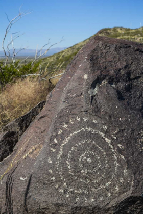 Picture of NEW MEXICO, THREE RIVERS, PETROGLYPH ON ROCK