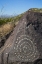 Picture of NEW MEXICO, THREE RIVERS, PETROGLYPH ON ROCK