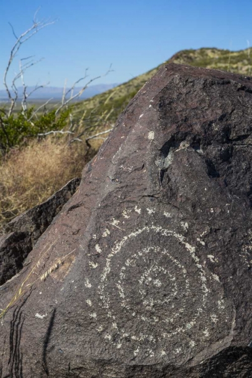 Picture of NEW MEXICO, THREE RIVERS, PETROGLYPH ON ROCK