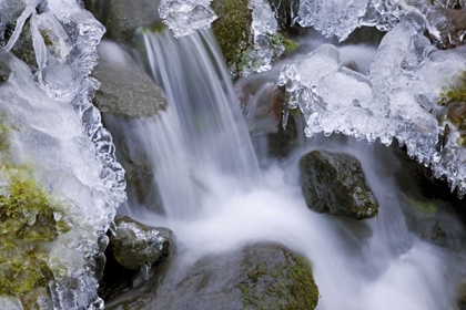 Picture of WASHINGTON, OLYMPIC NP ICY WINTER WATERFALL