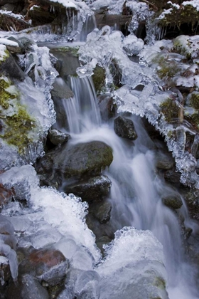 Picture of WASHINGTON, OLYMPIC NP ICY WINTER WATERFALL