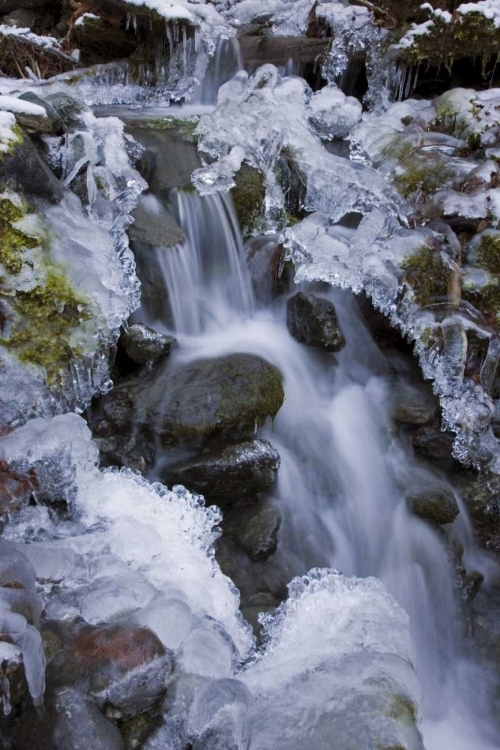 Picture of WASHINGTON, OLYMPIC NP ICY WINTER WATERFALL