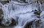 Picture of WASHINGTON, OLYMPIC NP ICY WINTER WATERFALL