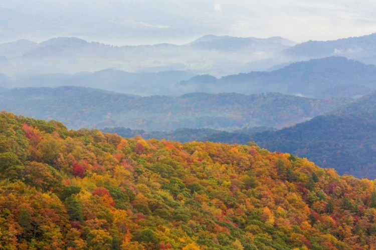 Picture of NORTH CAROLINA, BLUE RIDGE PARKWAY OVERLOOK