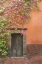 Picture of MEXICO BOUGAINVILLEA OUTSIDE WOODEN DOORWAY