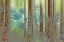 Picture of WA, SEABECK COLLAGE OF PINE CONES AND TREES