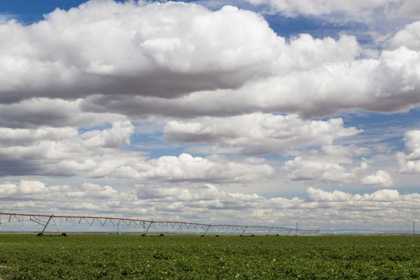 Picture of WA, CONNELL IRRIGATION DEVICE IN FARM FIELD