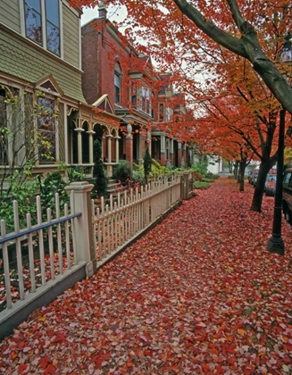 Picture of OR, PORTLAND AUTUMN LEAVES LITTER SIDEWALK