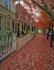 Picture of OR, PORTLAND AUTUMN LEAVES LITTER SIDEWALK