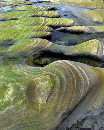 Picture of OR, SEAL ROCK BEACH ALGAE-TINTED SANDSTONE