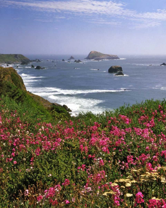 Picture of OREGON SEASCAPE OF GOAT ROCK AND SWEET PEAS
