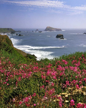 Picture of OREGON SEASCAPE OF GOAT ROCK AND SWEET PEAS