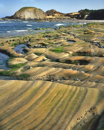 Picture of OR, SEAL ROCK SP PATTERNS ON SANDSTONE ROCK