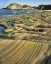 Picture of OR, SEAL ROCK SP PATTERNS ON SANDSTONE ROCK
