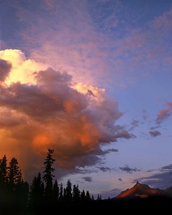 Picture of OR, UMPQUA NF STORM APPROACHING MT THIELSEN