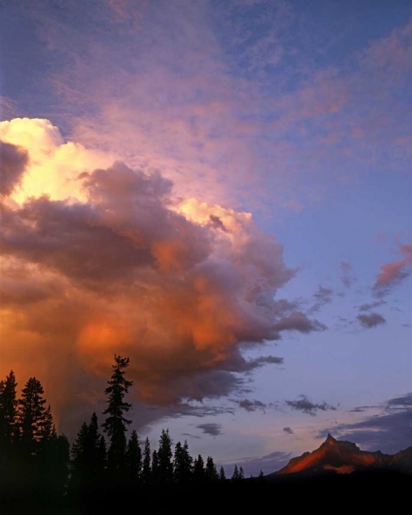 Picture of OR, UMPQUA NF STORM APPROACHING MT THIELSEN