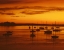 Picture of ME, CAMDEN SAILBOATS SILHOUETTED AT SUNRISE