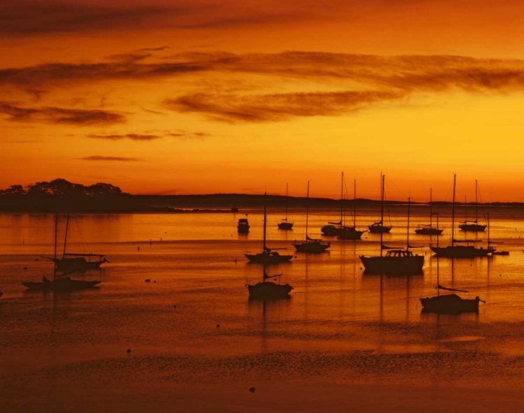 Picture of ME, CAMDEN SAILBOATS SILHOUETTED AT SUNRISE