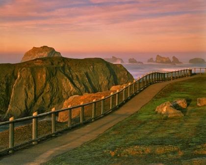 Picture of OR, BANDON ROCKS VIEWED FROM TRAIL TO BEACH