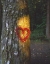 Picture of OR, MT HOOD NF, HEART WREATH ON DOUGLAS-FIR