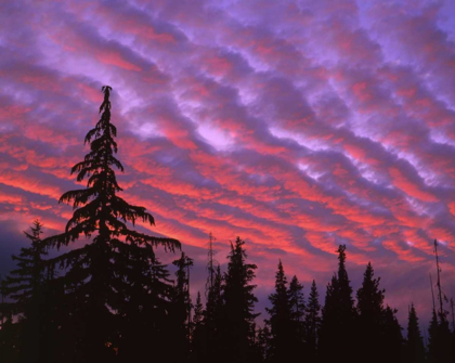 Picture of OR, THREE SISTERS, SUNSET CLOUDS OVER FOREST