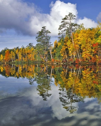 Picture of USA, MAINE AUTUMN SCENIC OF UPPER TOGUE POND
