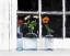 Picture of USA, OREGON, ZINNIAS IN BOTTLES ON WINDOWSILL