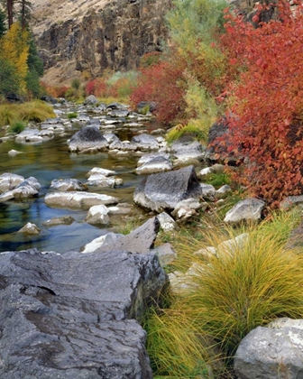 Picture of USA, OREGON FALL COLORS ALONG JOHN DAY RIVER