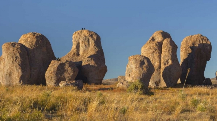 Picture of NEW MEXICO, CITY OF ROCKS SP RAVENS ON A BOULDER