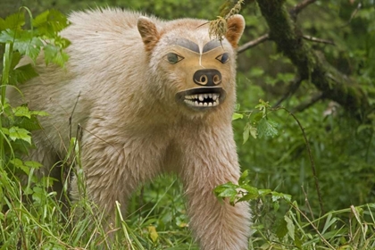 Picture of CANADA, BC, PRINCESS ROYAL IS SPIRIT BEAR MASK