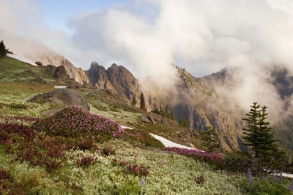 Picture of OLYMPIC NP CLOUDS OVER MEADOW AND KLAHHANE RIDGE