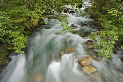 Picture of WA, NORTH CASCADES WATER RUSHES IN CASCADE RIVER