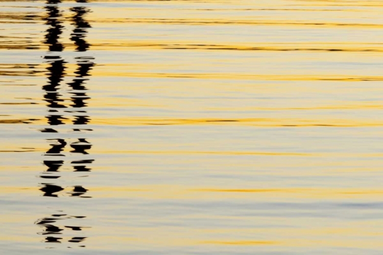 Picture of CA, SAN DIEGO ABSTRACT REFLECTIONS IN THE HARBOR