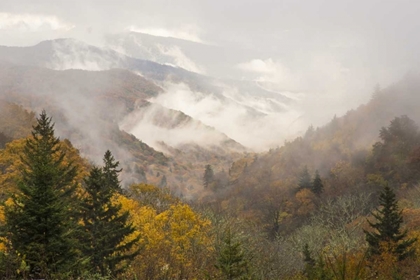 Picture of NORTH CAROLINA, GREAT SMOKY MTS AUTUMN LANDSCAPE