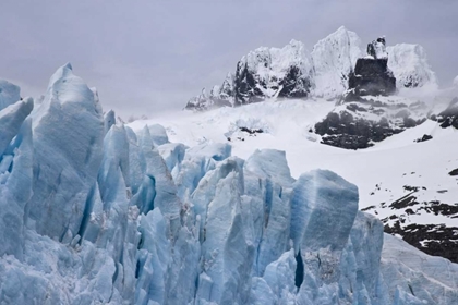 Picture of SOUTH GEORGIA ISLAND HARMER GLACIER AND STARBUCK