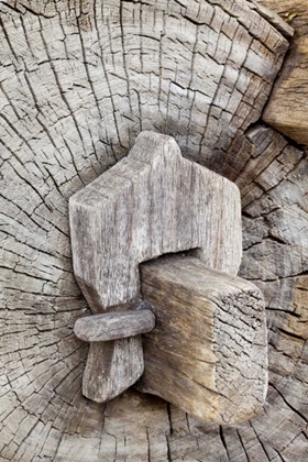 Picture of MEXICO, TECATE WOODEN BENCH AT RANCHO LA PURERTA