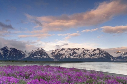 Picture of AK, ALSEK-TATSHENSHINI MOUNTAIN SCENIC AT SUNSET