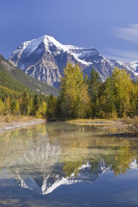 Picture of CANADA, BC, MT ROBSON PP REFLECTION OF SCENERY