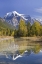 Picture of CANADA, BC, MT ROBSON PP REFLECTION OF SCENERY