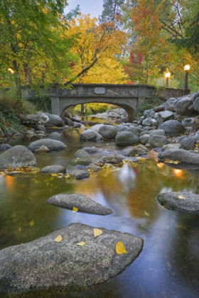 Picture of OR, LITHIA PARK AUTUMN REFLECTS IN ASHLAND CREEK