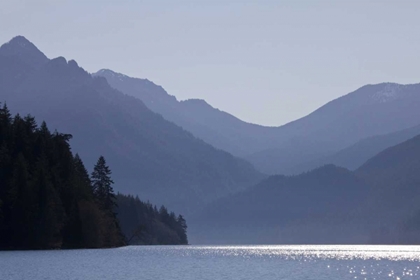 Picture of WA, OLYMPIC NP LAKE CRESCENT AND MOUNT STORMKING