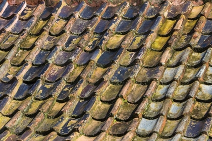 Picture of SC, CHARLESTON ROOF TILES ON PLANTATION BUILDING