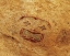 Picture of TX, HUECO TANKS SP PICTOGRAPH ART