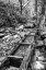 Picture of TN, GREAT SMOKY MTS WOODEN SPILLWAY