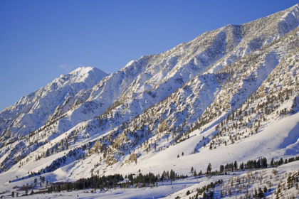 Picture of CA, WHEELER CREST IN THE SIERRA NEVADA