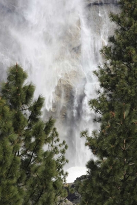 Picture of CA, YOSEMITE VIEW O FYOSEMITE FALLS IN MARCH