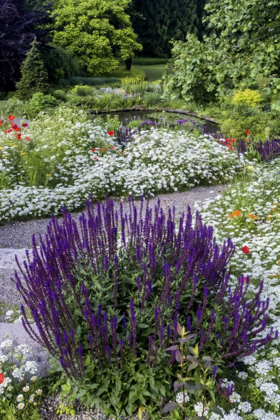 Picture of USA, PENNSYLVANIA SUMMER FLOWERS