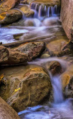 Picture of USA, UTAH, ZION NP ROCKS IN STREAM