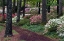 Picture of GEORGIA PATHWAY THROUGH TREES AND FLOWER BUSHES